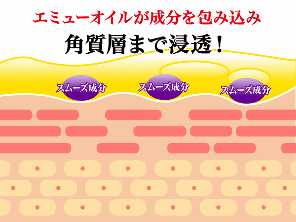 表面に塗るだけ・・・