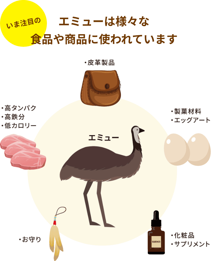 いま注目の　エミューは様々な食品や商品に使われています