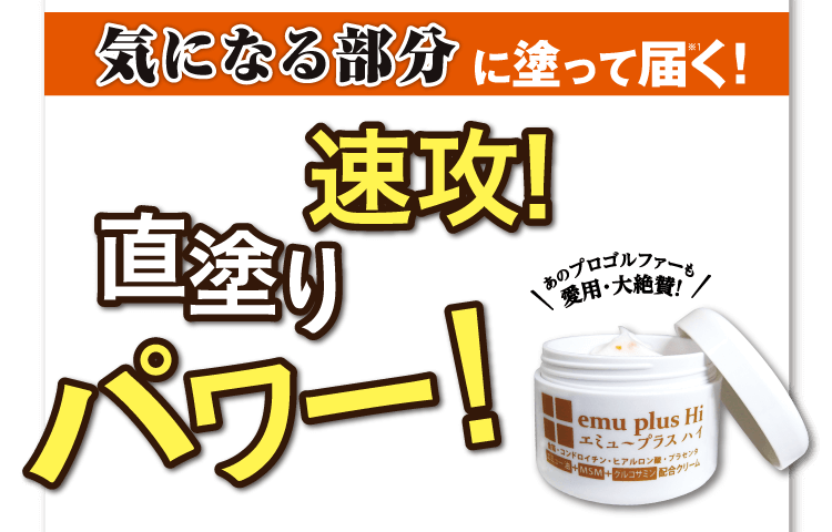 エミュープラスHi │ [野口医学研究所開発] 腰・肩・ひざに直に届く！