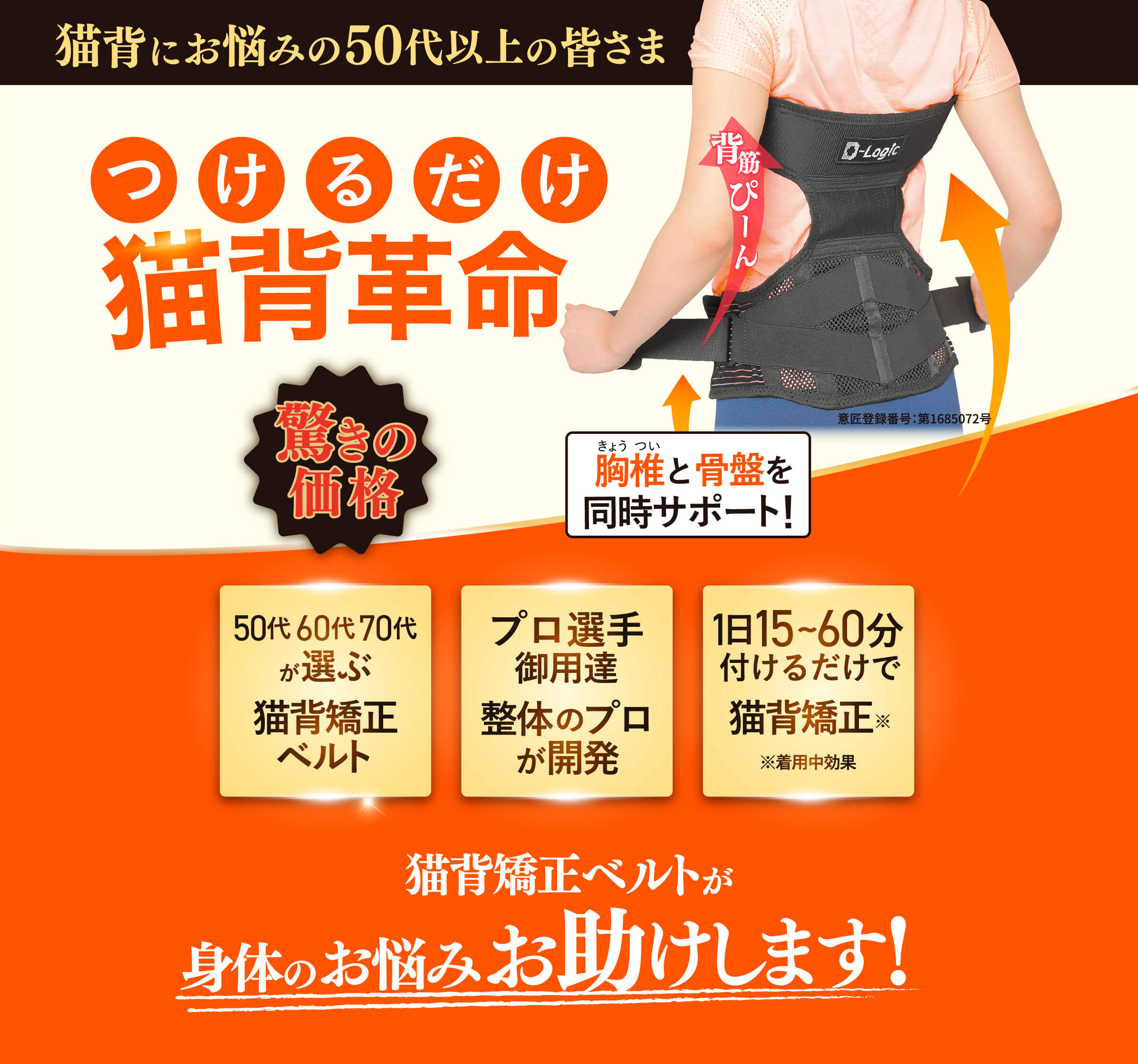 THPソリューションベルト