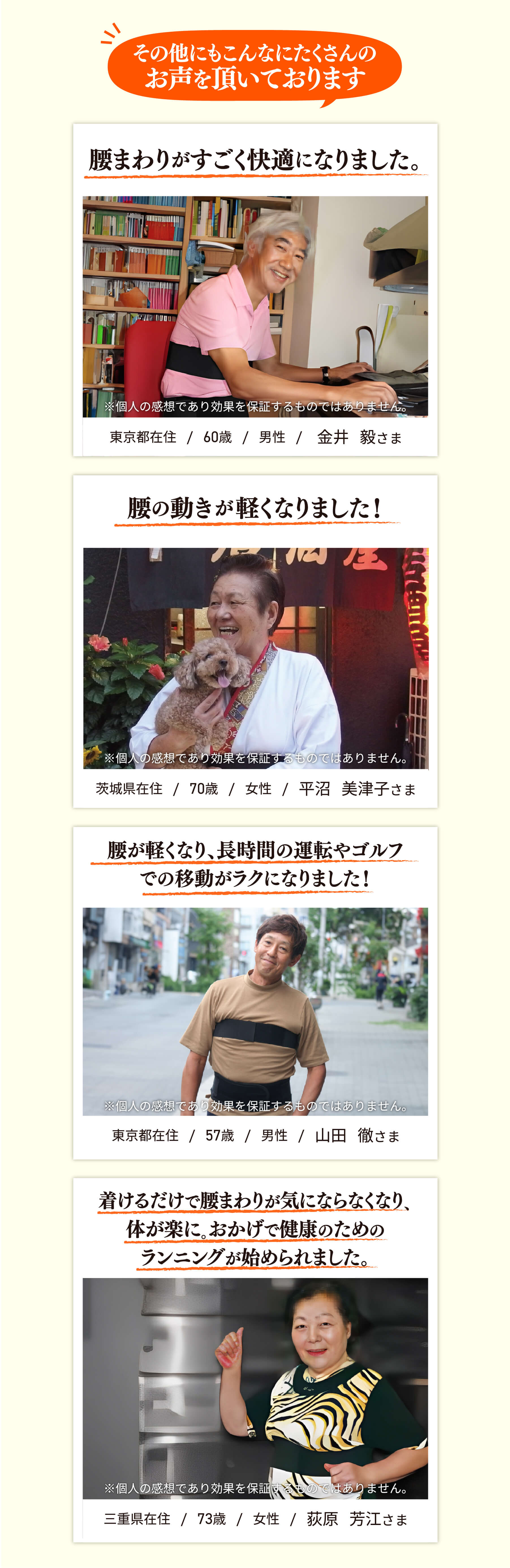 THPソリューションベルト