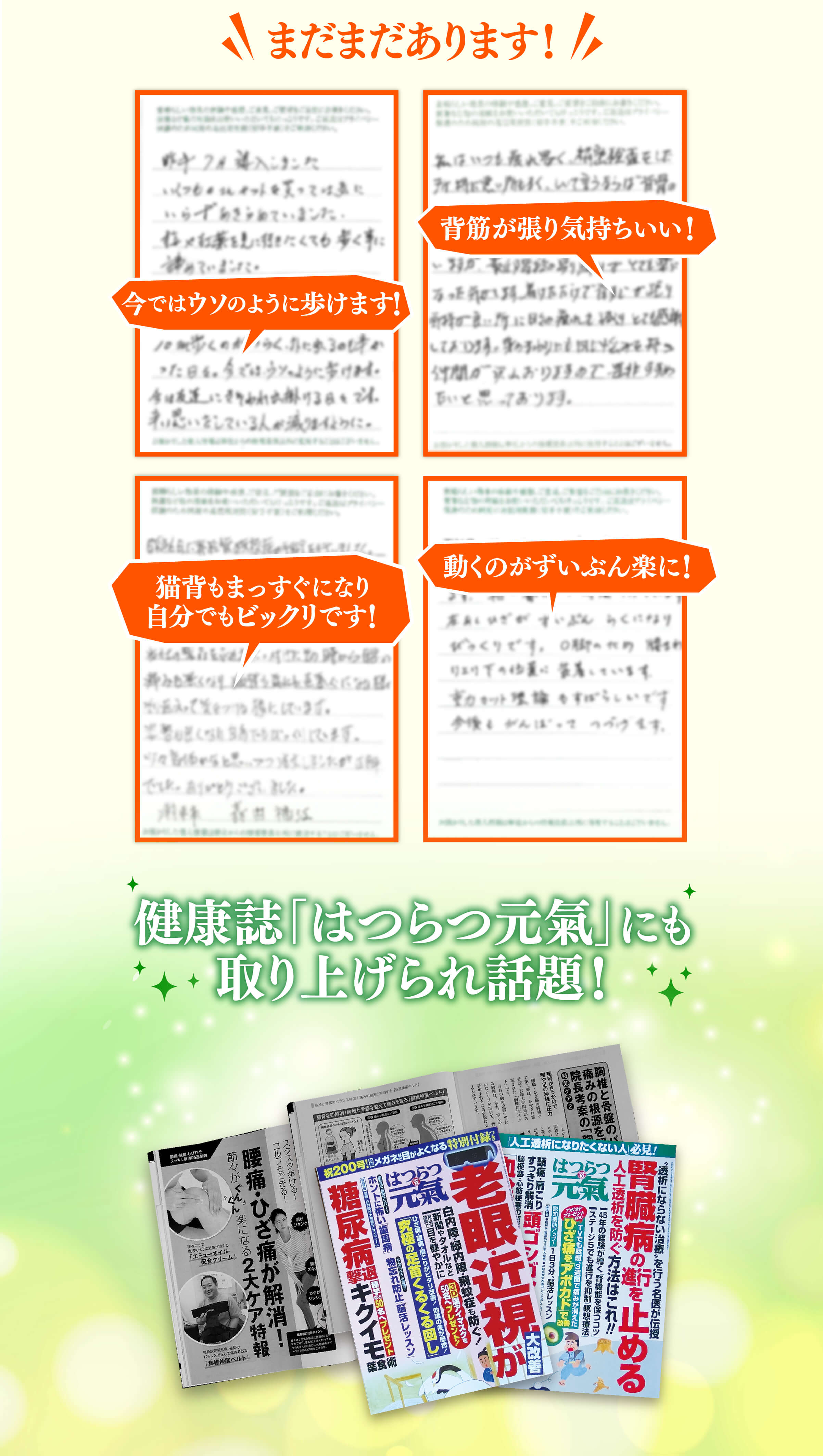 THPソリューションベルト