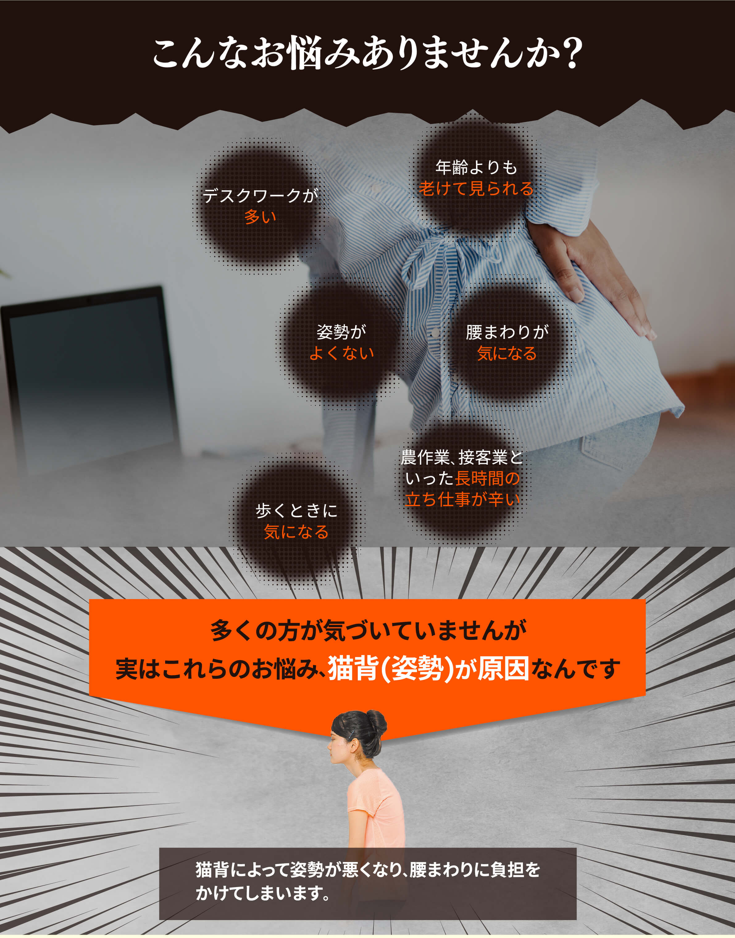 THPソリューションベルト