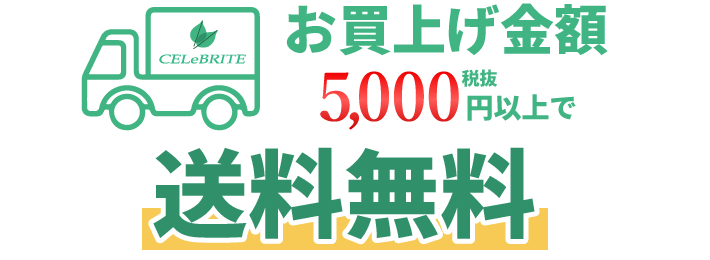 5,000円以上で送料無料